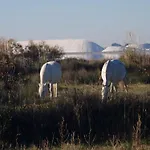 Appartement Pour Deux Avec Terrasse Aux Portes De La Camargue Aigues-Mortes