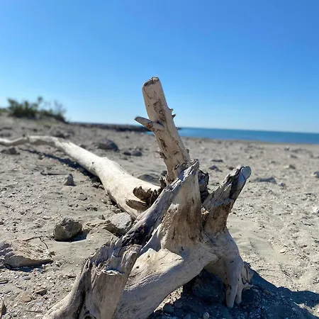Daire Pour Deux Avec Terrasse Aux Portes De La Camargue *