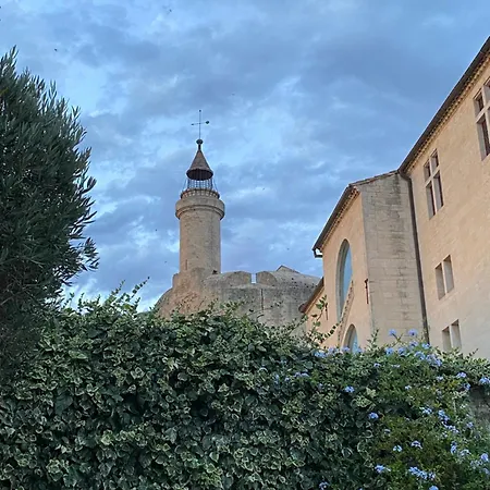 Pour Deux Avec Terrasse Aux Portes De La Camargue Aigues-Mortes