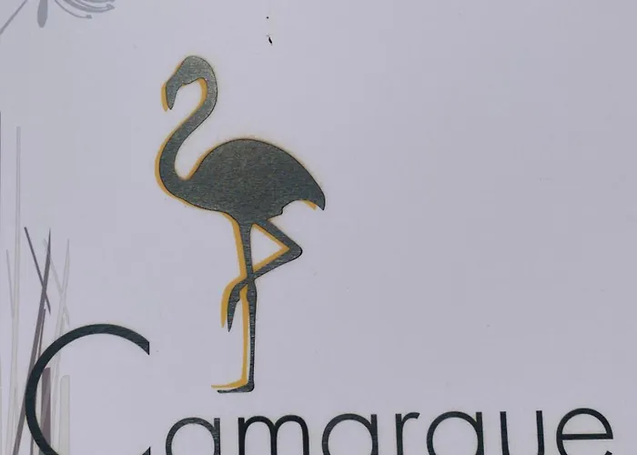Apartament Pour Deux Avec Terrasse Aux Portes De La Camargue Aigues-Mortes