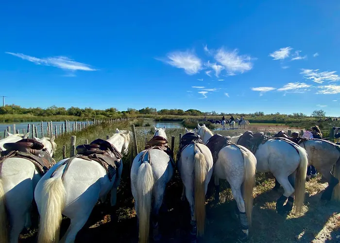 Pour Deux Avec Terrasse Aux Portes De La Camargue * Aigues-Mortes